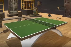 ELEVEN TABLE TENNIS